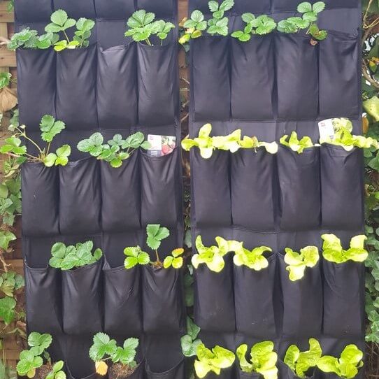 DIY: Un potager vertical avec un range-chaussures mural