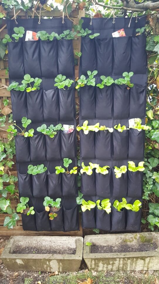 DIY: Un potager vertical avec un range-chaussures mural