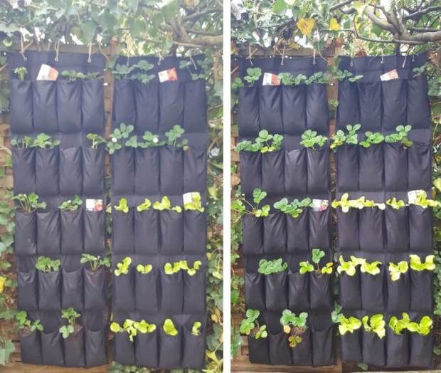DIY: Un potager vertical avec un range-chaussures mural