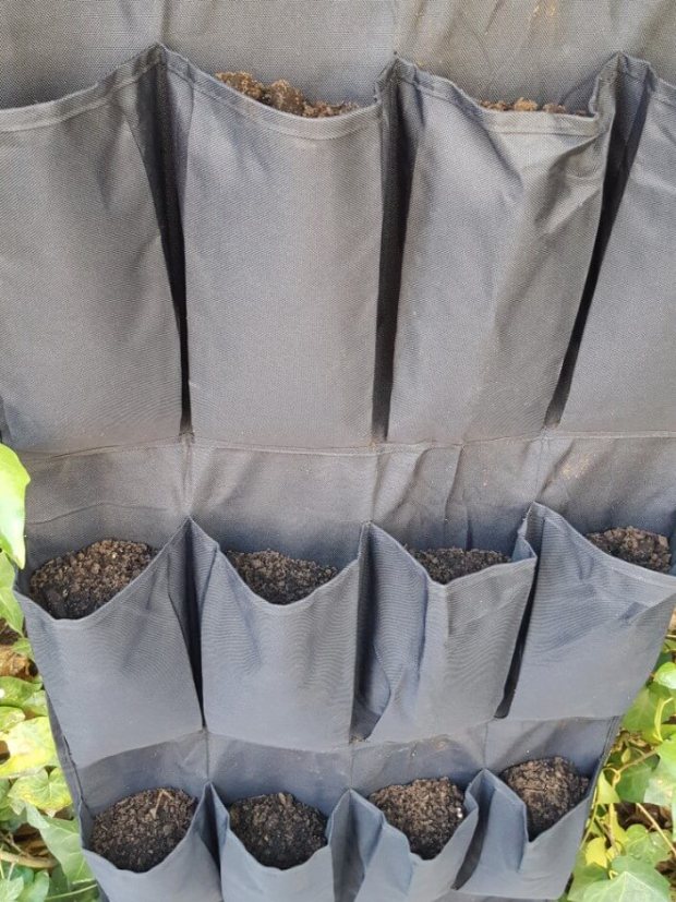 DIY: Un potager vertical avec un range-chaussures mural