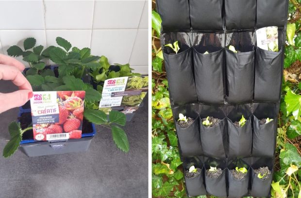 DIY: Un potager vertical avec un range-chaussures mural