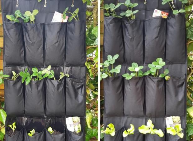 DIY: Un potager vertical avec un range-chaussures mural