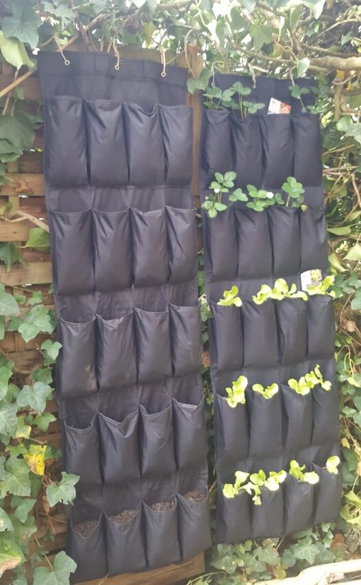 DIY: Un potager vertical avec un range-chaussures mural