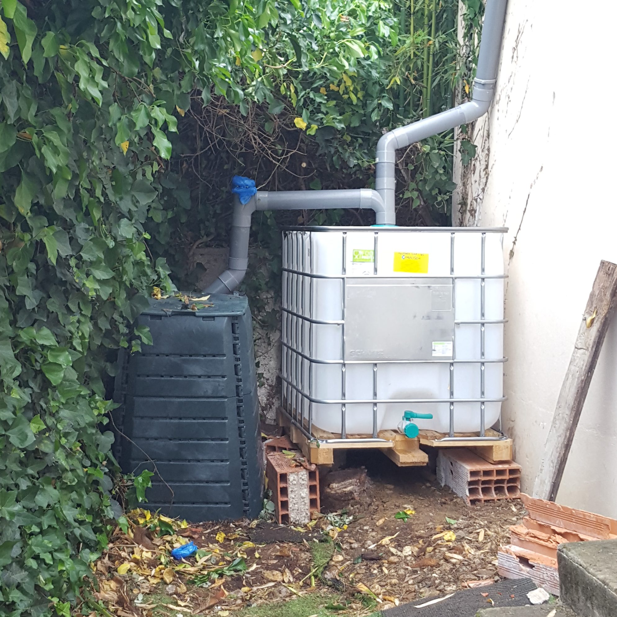 4 choses à savoir sur le récupérateur d'eau de pluie